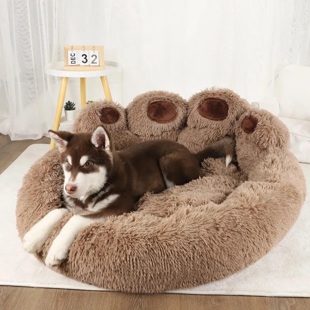 Versatile Dog Sofa Beds for Small & Large Dogs