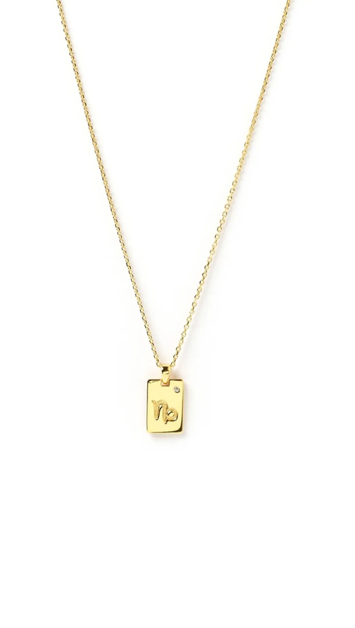 Zodiac Tag Necklace - Gold