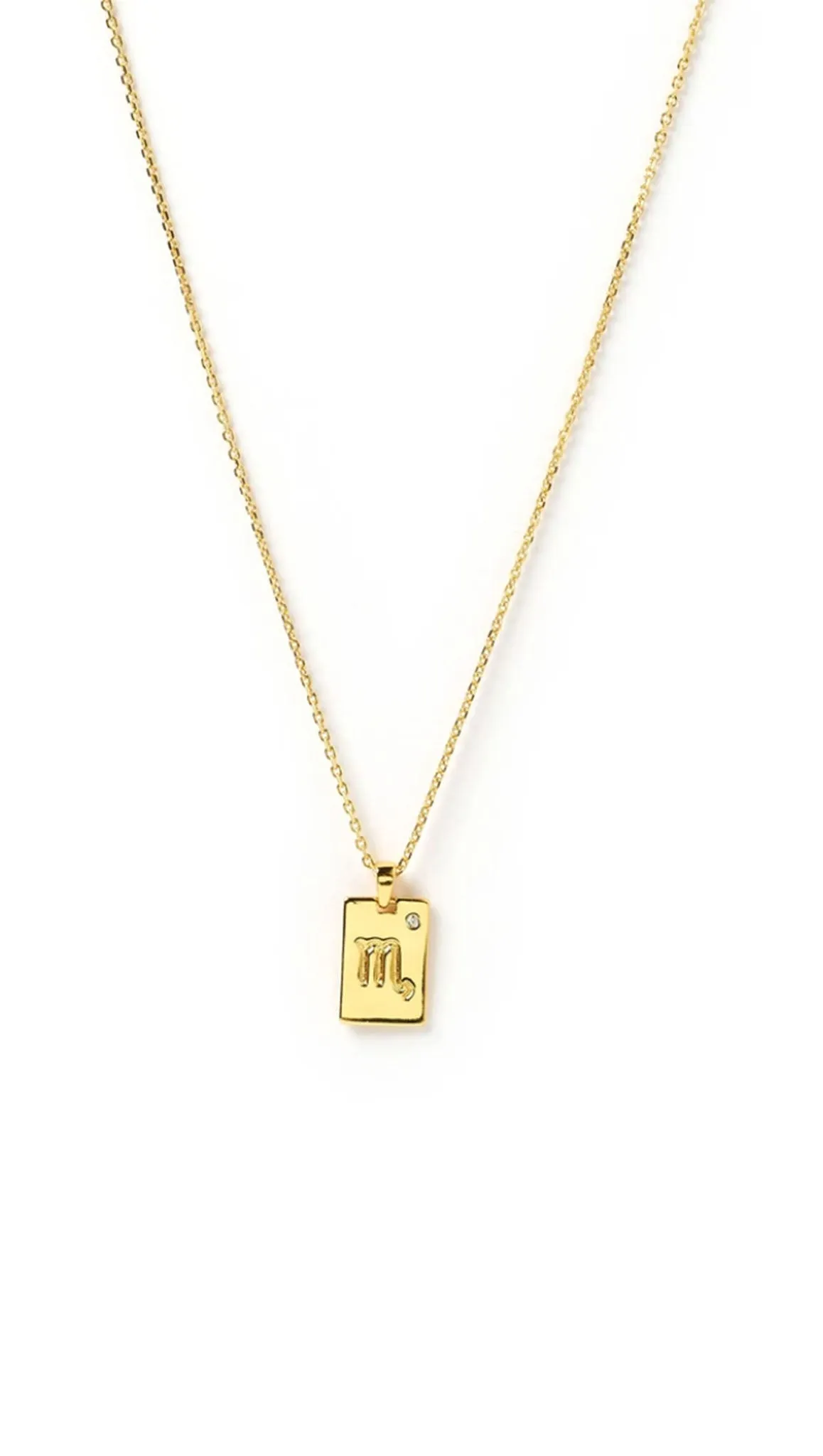 Zodiac Tag Necklace - Gold